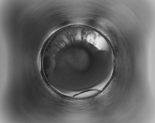 X0000093621127200710151256
