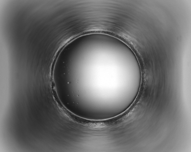 X0000093621129200710151256