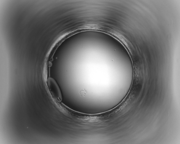 X0000093621131200710151256