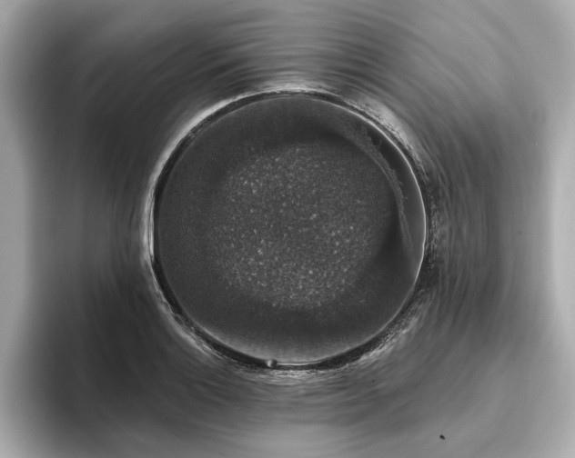 X0000093621132200710151256