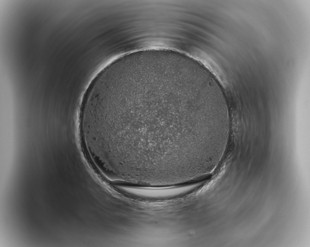 X0000093621134200710151256