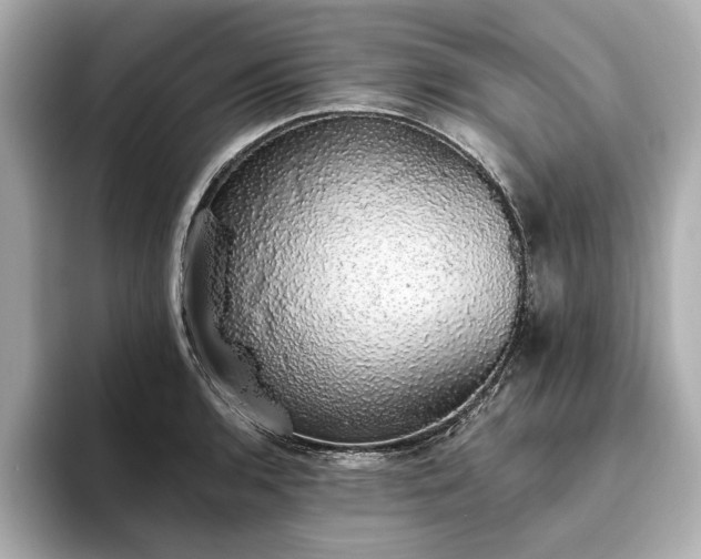 X0000093621136200710151256