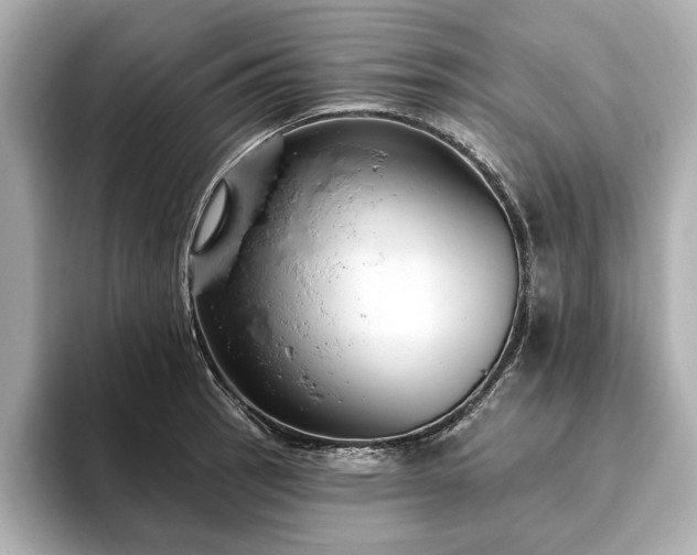 X0000093621137200710151256