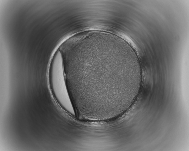 X0000093621138200710151256