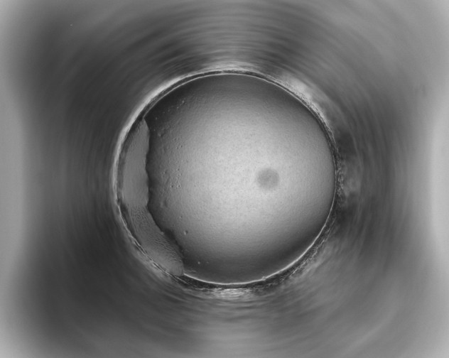 X0000093621140200710151256