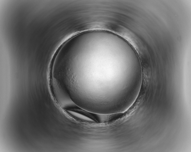 X0000093621142200710151256