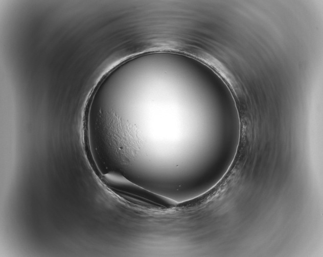 X0000093621143200710151256