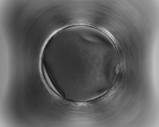 X0000093621144200710151256