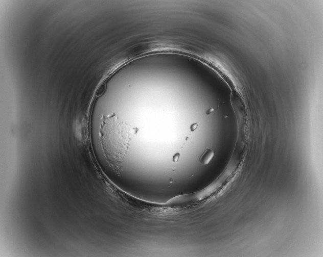 X0000093621145200710151256