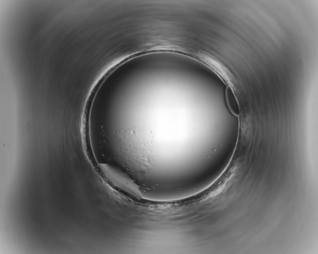 X0000093621149200710151256