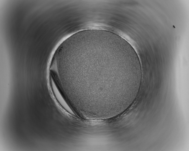 X0000093621152200710151256