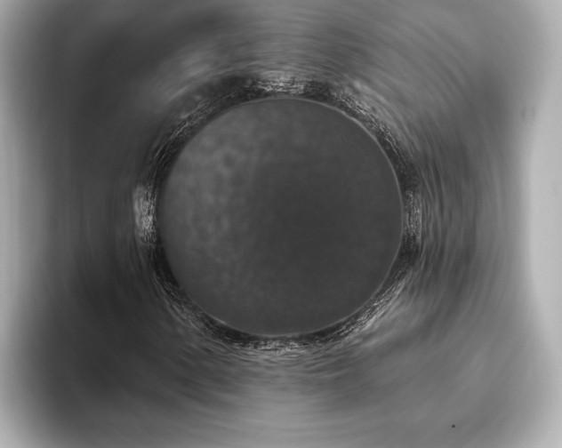 X0000093621154200710151255