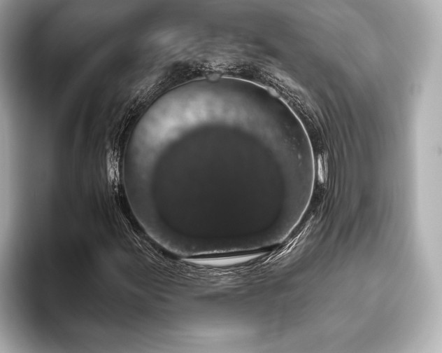 X0000093621155200710151255