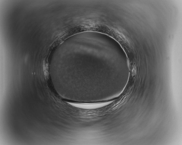 X0000093621156200710151255