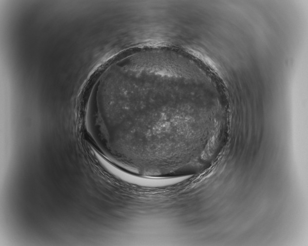 X0000093621160200710151255