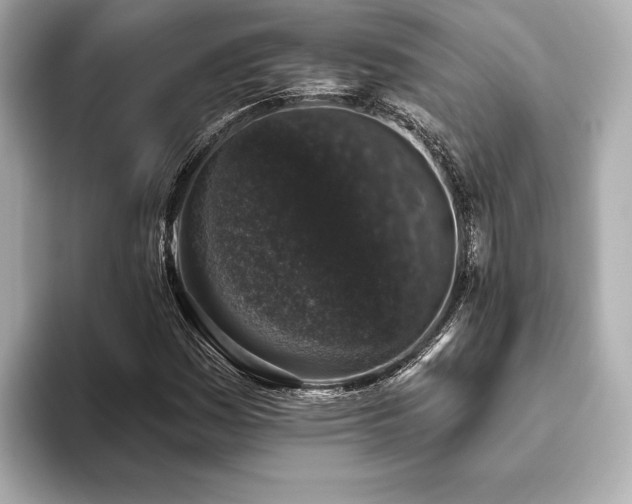X0000093621161200710151255