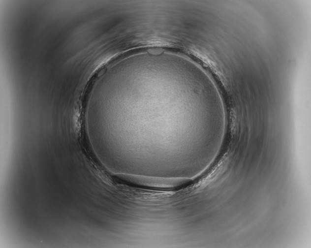 X0000093621163200710151255