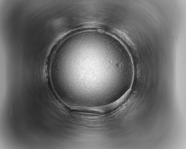 X0000093621164200710151255