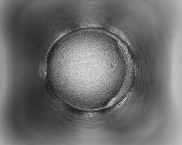 X0000093621165200710151255