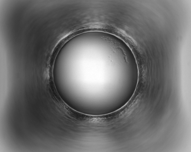 X0000093621166200710151255