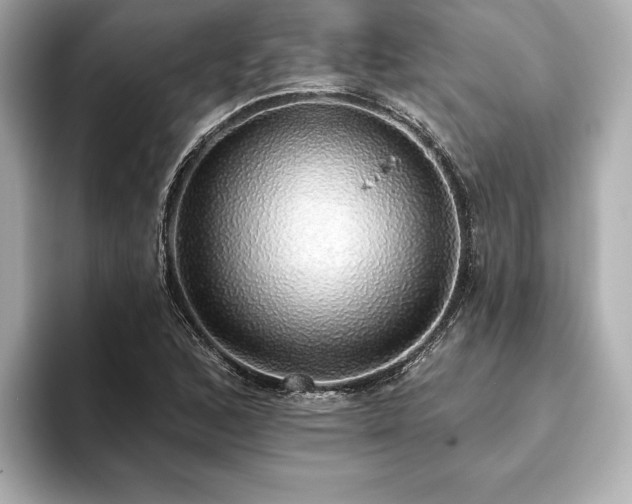 X0000093621168200710151255