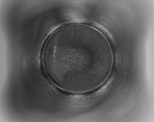 X0000093621170200710151255