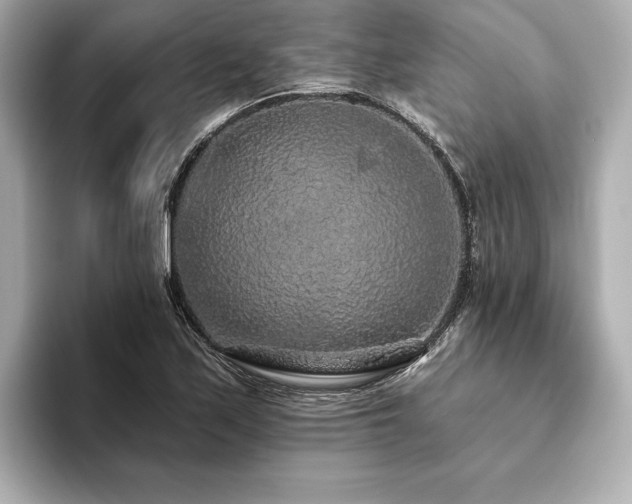 X0000093621171200710151255