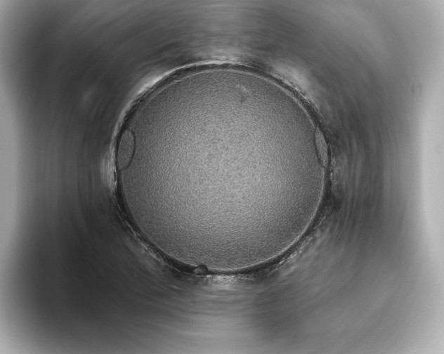 X0000093621172200710151255