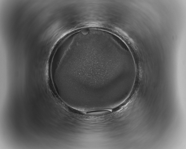 X0000093621174200710151255