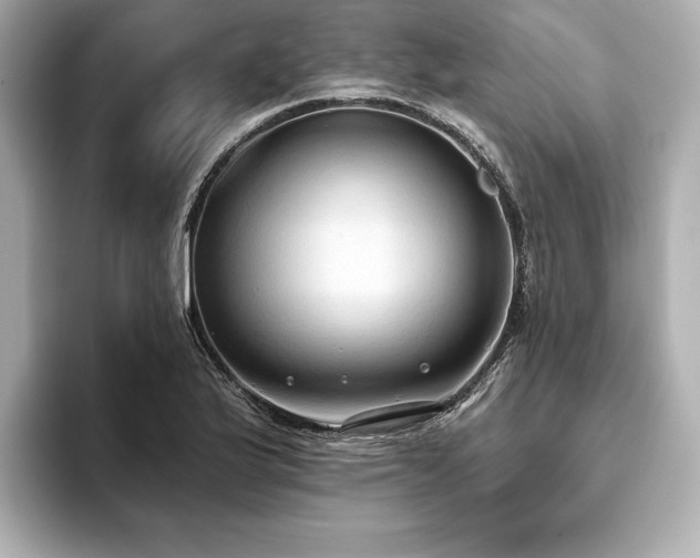 X0000093621175200710151255