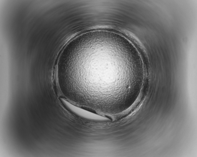 X0000093621177200710151255