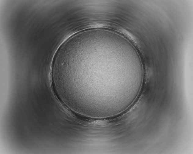 X0000093621178200710151255