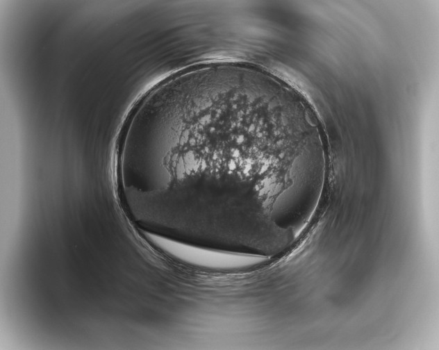 X0000093621179200710151255