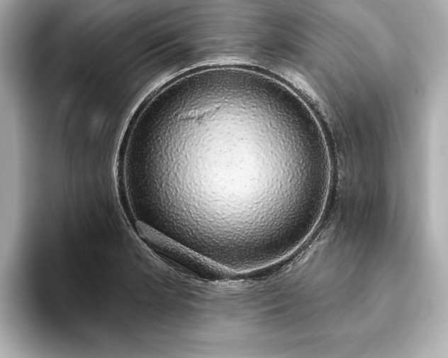 X0000093621181200710151255