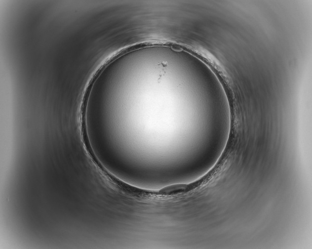 X0000093621183200710151255