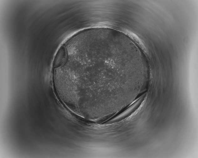 X0000093621184200710151255