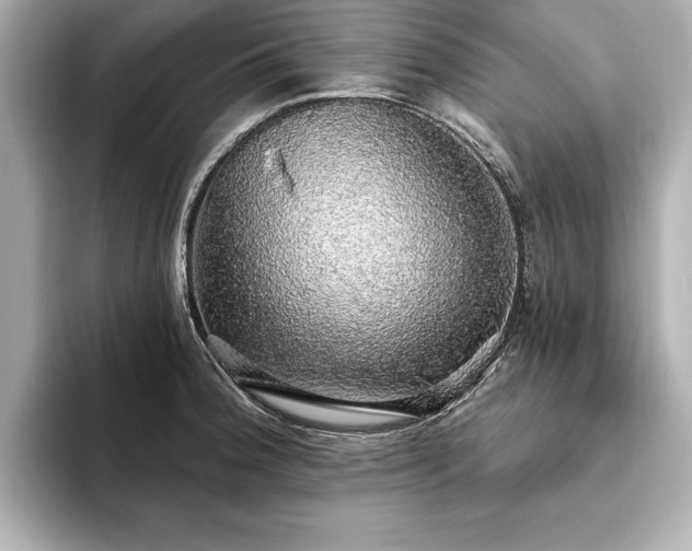 X0000093621188200710151255