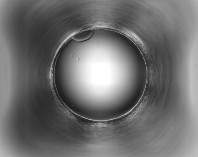 X0000093621190200710151255