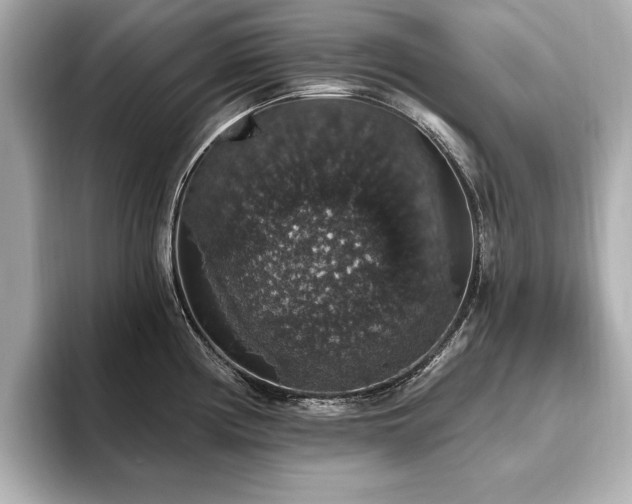 X0000093621194200710151255