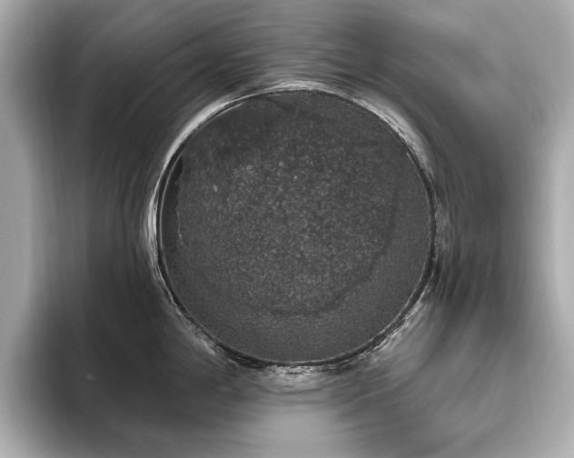 X0000093621198200710151255