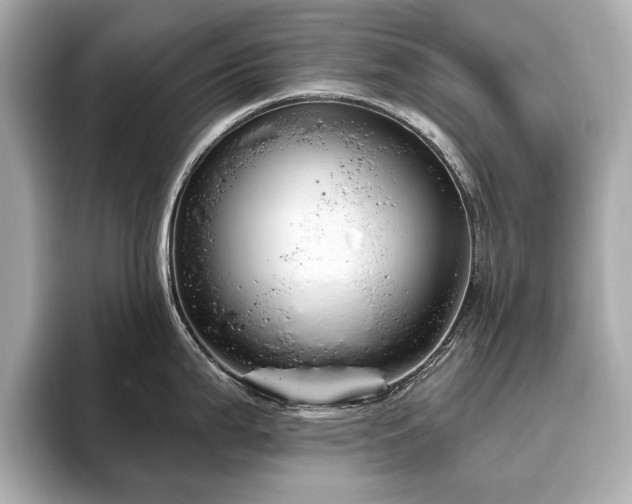 X0000093621199200710151255