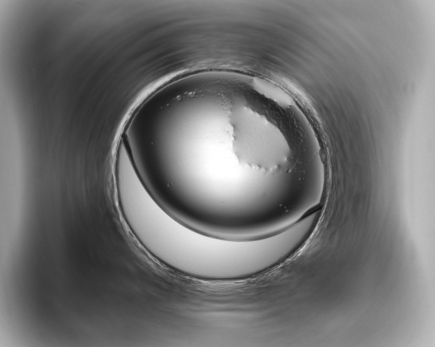 X0000093621200200710151255