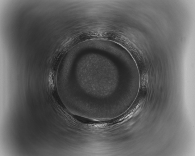 X0000093621202200710151254