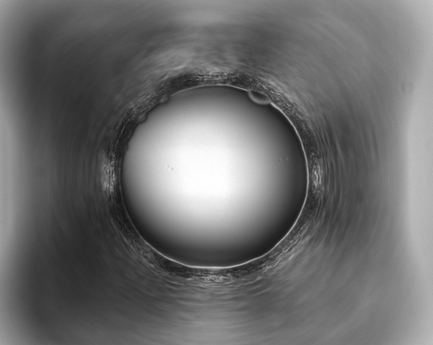 X0000093621204200710151254