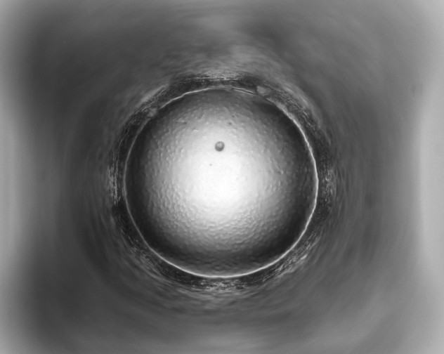 X0000093621205200710151254