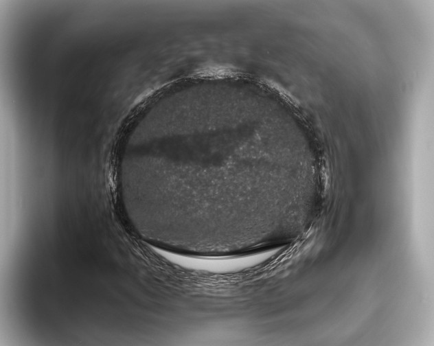 X0000093621206200710151254