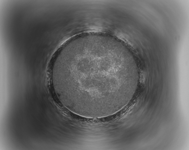 X0000093621208200710151254