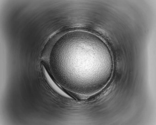 X0000093621210200710151254