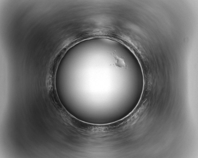 X0000093621211200710151254