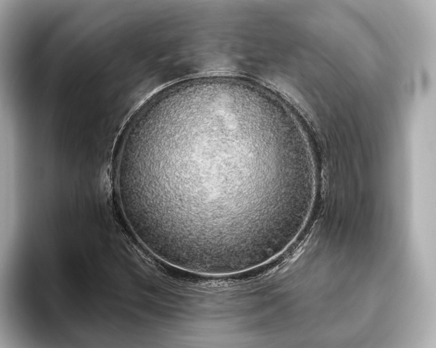X0000093621212200710151254